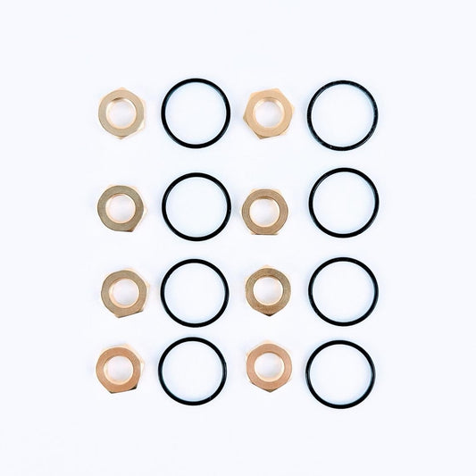 iCheck Lock Nut and O Ring