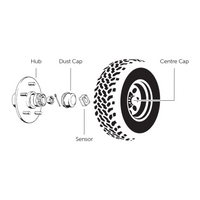iCheck Wheel Bearing/Hub Sensors Temperature Sensors